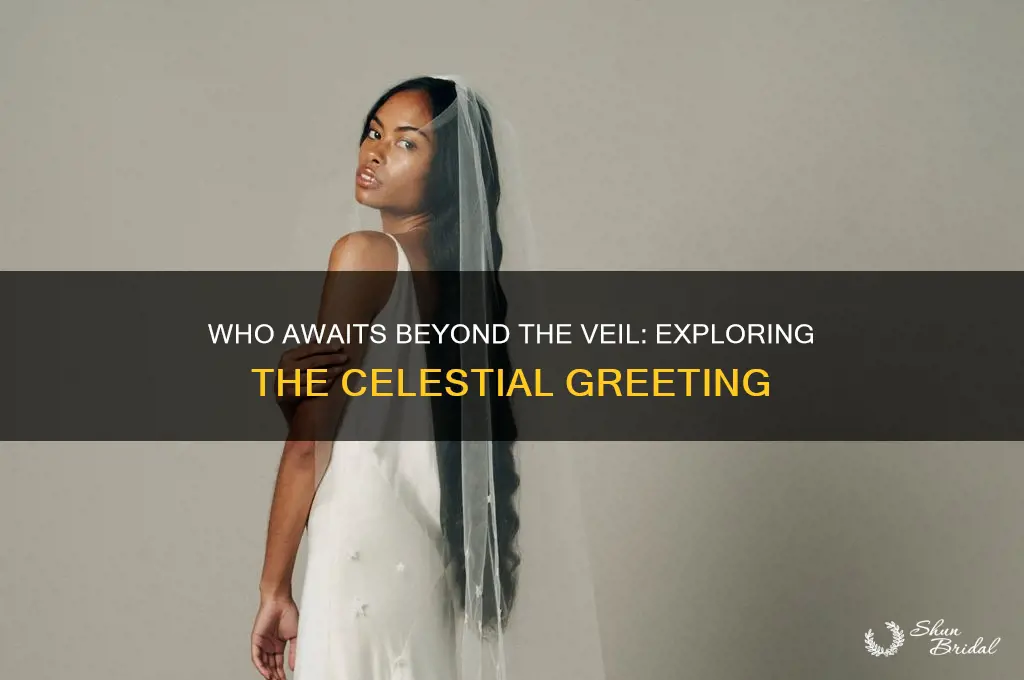 who will receive us at the veil
