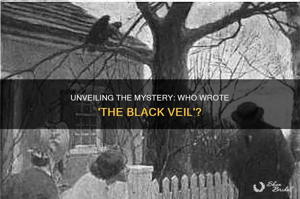 who wrote the black veil