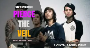 Discover the Exciting Openers for Pierce the Veil's Upcoming Tour