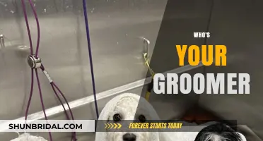 Unveiling the Groomer: A Journey into Pet Pampering