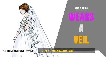 The Symbolic Meaning Behind a Bride's Veil Tradition