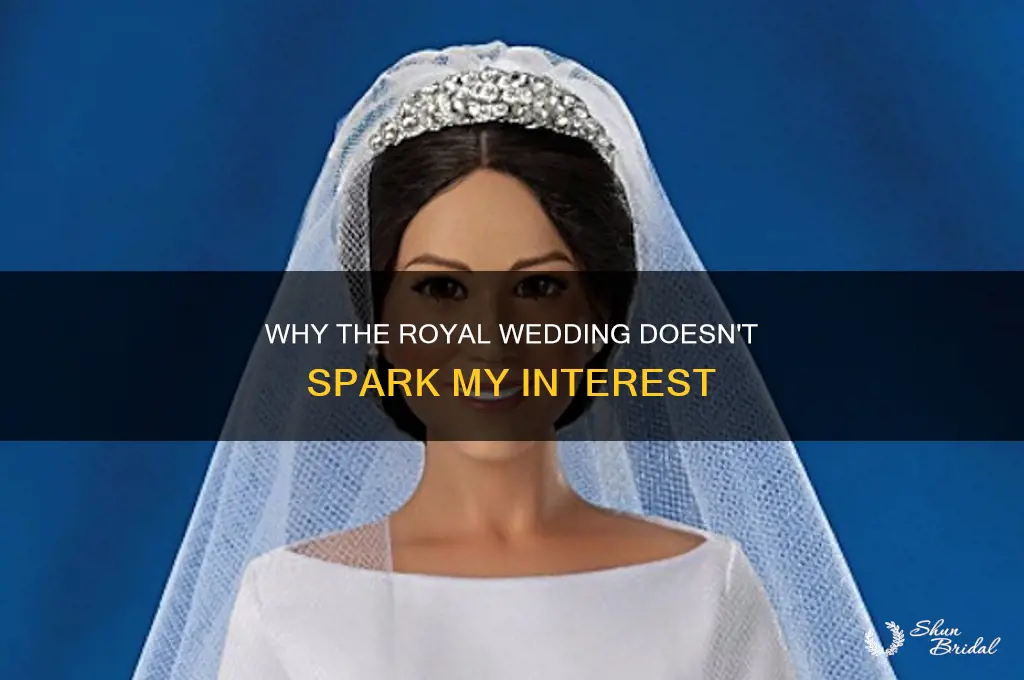 why am i not into the royal wedding