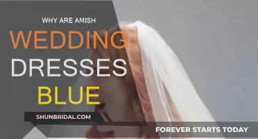 Blue Wedding Dresses: Amish Nuptial Traditions