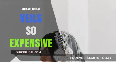Why Bridal Veils Cost a Fortune: Unveiling the Price Tag