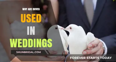Doves at Weddings: A Symbol of Peace and Love