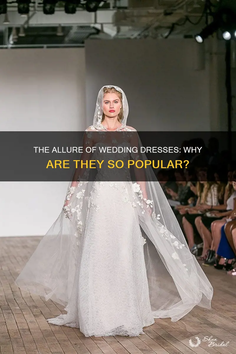 why are dresses so popular for weddings