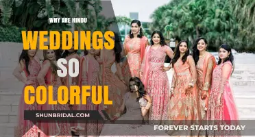 Vibrant Traditions: Exploring the Colorful Splendor of Hindu Weddings