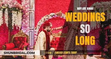 Hindu Weddings: Elaborate Rituals, Long Celebrations, Why?