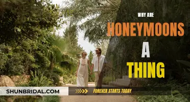 The Ancient Roots of Honeymoons and Their Modern Significance