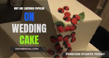 Ladybugs on Wedding Cakes: Ancient Luck Charm Symbolism