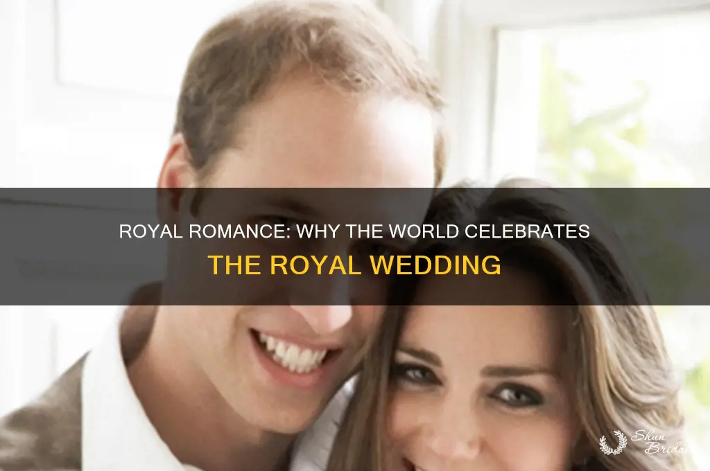 why are peopel excited about royal wedding