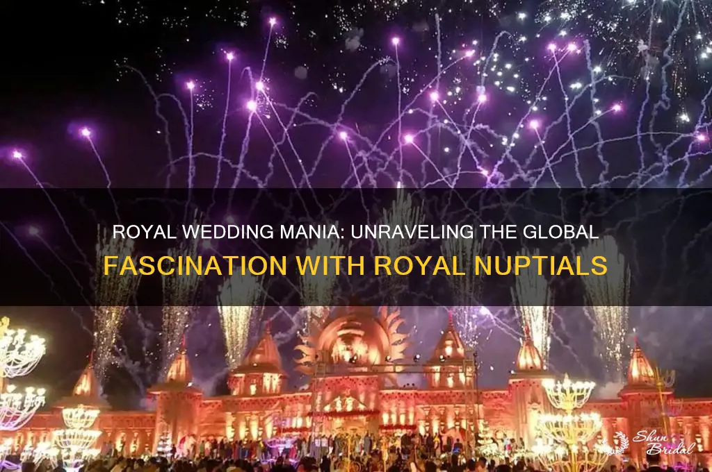 why are people obsessed with royal wedding