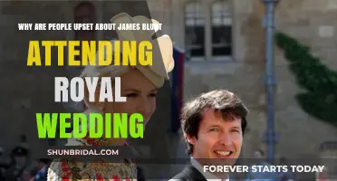 James Blunt at Royal Wedding: Public Outrage Explained
