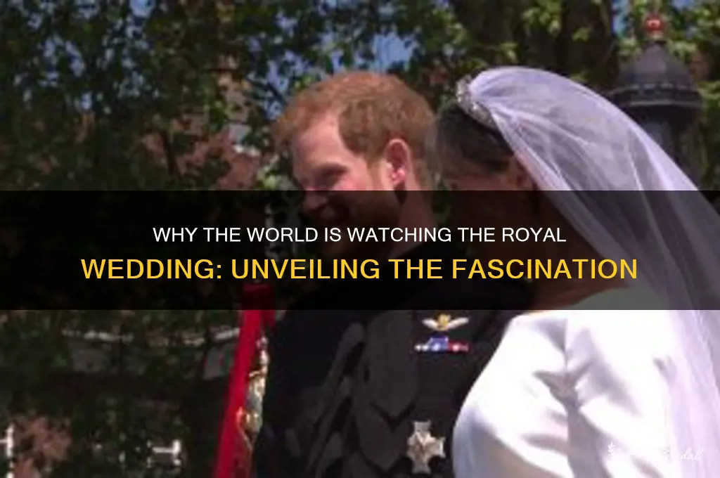 why are people watching royal wedding