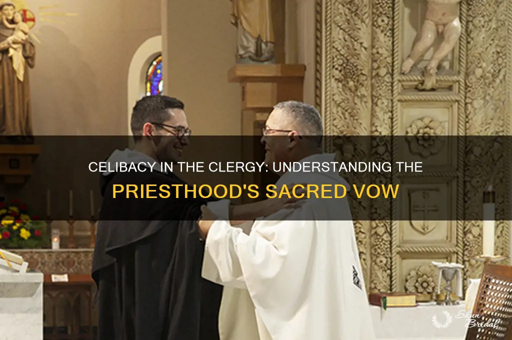 why are priests required to take a vow of celibacy