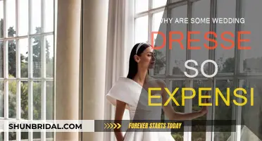 The High Cost of Wedding Gowns: Why So Expensive?