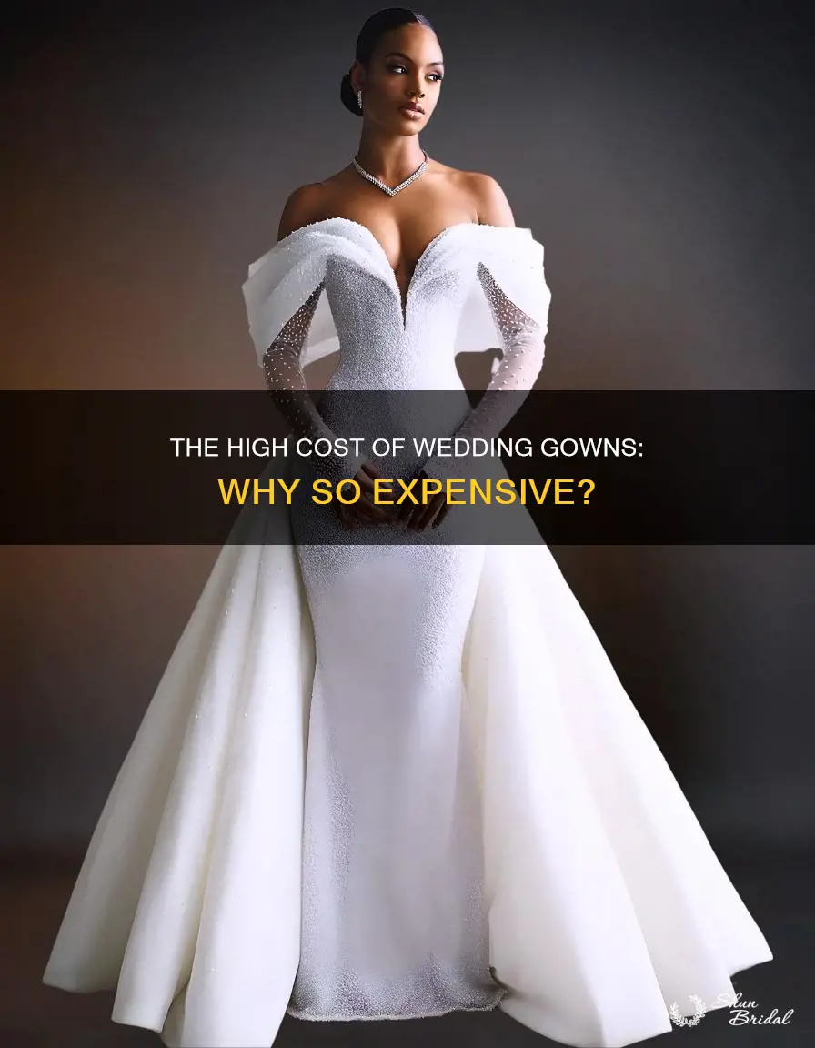 why are some wedding dresses so expensive