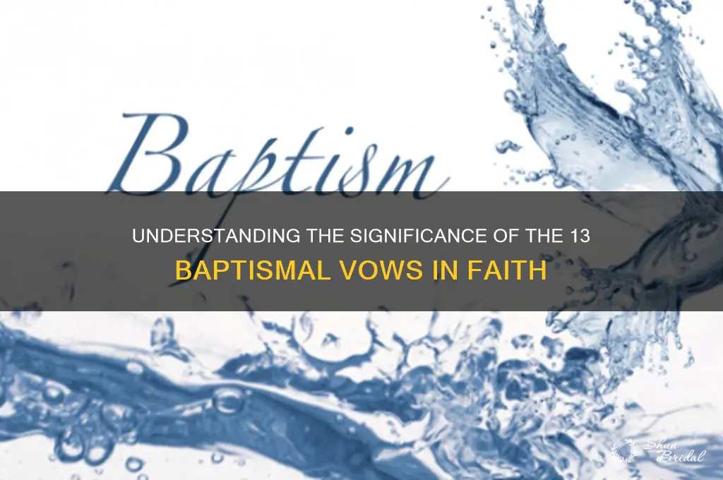 why are the 13 baptismal vows important