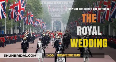 Royal Wedding Mystery: Why Horses Held Their Bowels During Ceremony