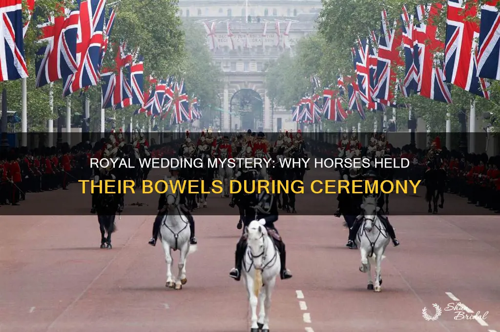why are the horses not shiting in the royal wedding