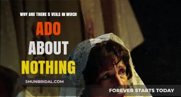 Unveiling the Mystery: The Symbolic Five Veils in Much Ado About Nothing