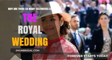 Royal Wedding Celebrity Guest List: Why So Many Stars Attend?