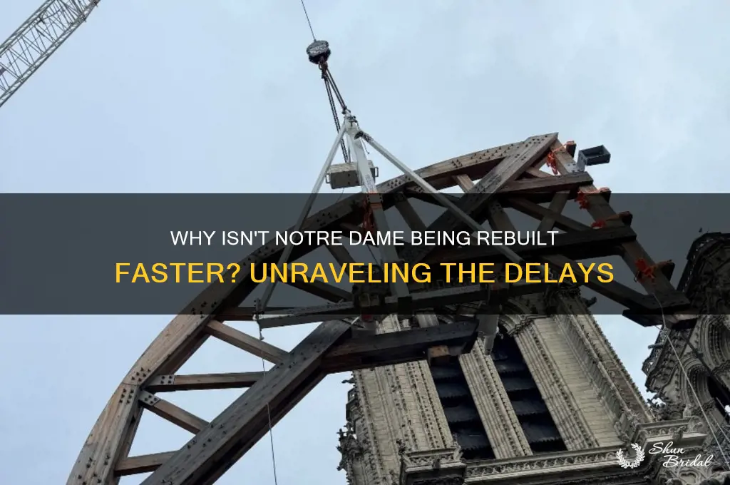 why are thwy not rebuliding norter dame vow it was