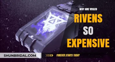 Why Veiled Rivens Command High Prices in Warframe
