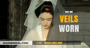 The Cultural and Religious Significance of Wearing Veils Explained