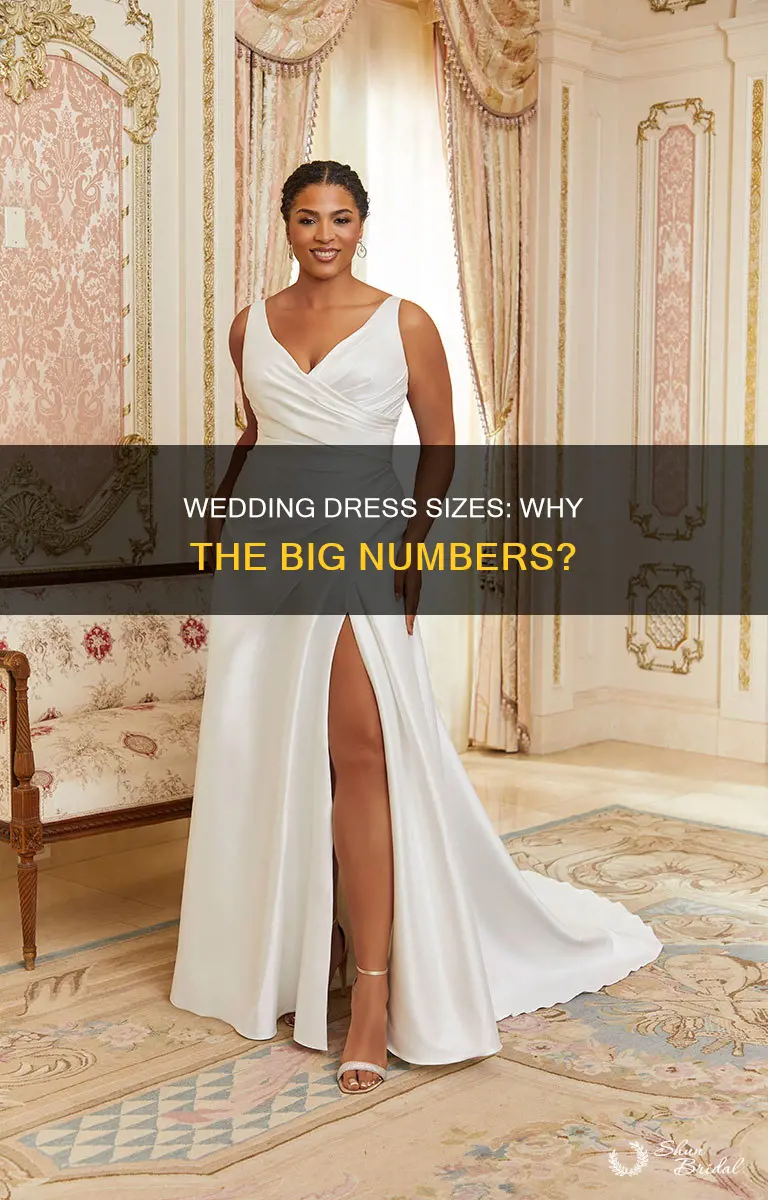 why are wedding dress sizes bigger