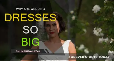 The Evolution of Wedding Dresses: Why the Big, White Gown?
