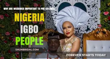 Weddings in Pre-Colonial Igbo Culture: Significance and Traditions Explored