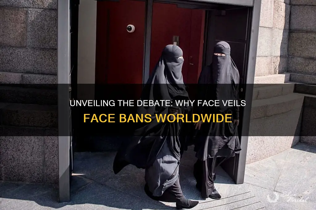 why ban face veils