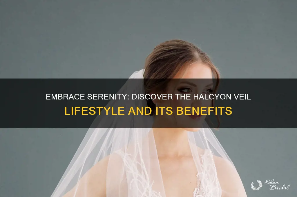 why be halcyon veil