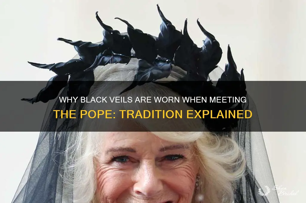why black veils to meet pope
