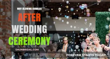 Bubbles of Joy: The Sweet Tradition After Wedding Ceremonies