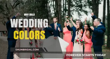 Dare to Be Bold: Vibrant Wedding Colors That Make a Statement