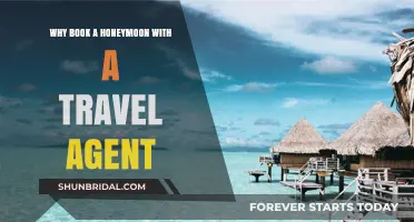 Stress-Free Honeymoon Planning: Benefits of Using a Travel Agent