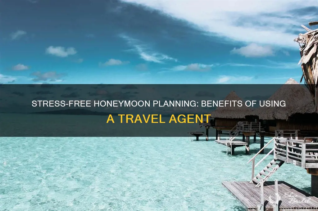 why book a honeymoon with a travel agent