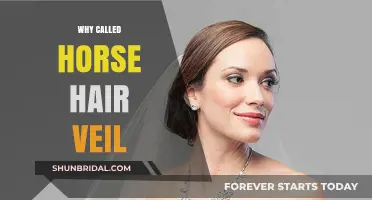 Unveiling the Mystery: Why It's Called a Horse Hair Veil