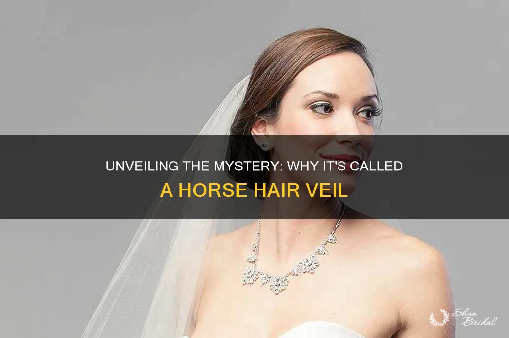 why called horse hair veil