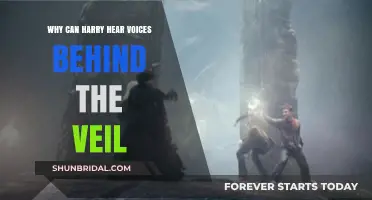 Harry's Veil Voices: Unveiling the Mystery Behind the Whispers