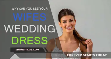 The Wedding Dress: A Memory for Husbands