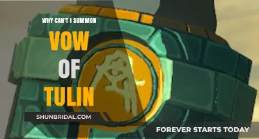 Troubleshooting Vow of Tulin: Why Your Summon Isn't Working