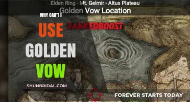 Golden Vow Restrictions: Understanding Why It’s Not Always Usable