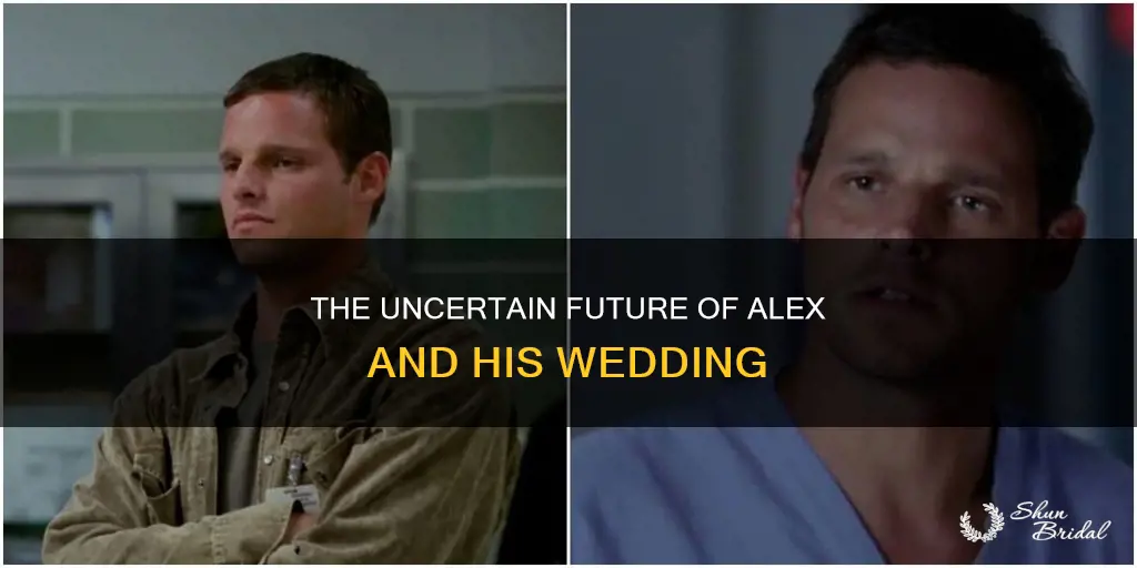 why couldnt alex karev set wedding date