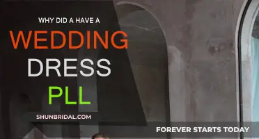 The Mystery of the Wedding Dress