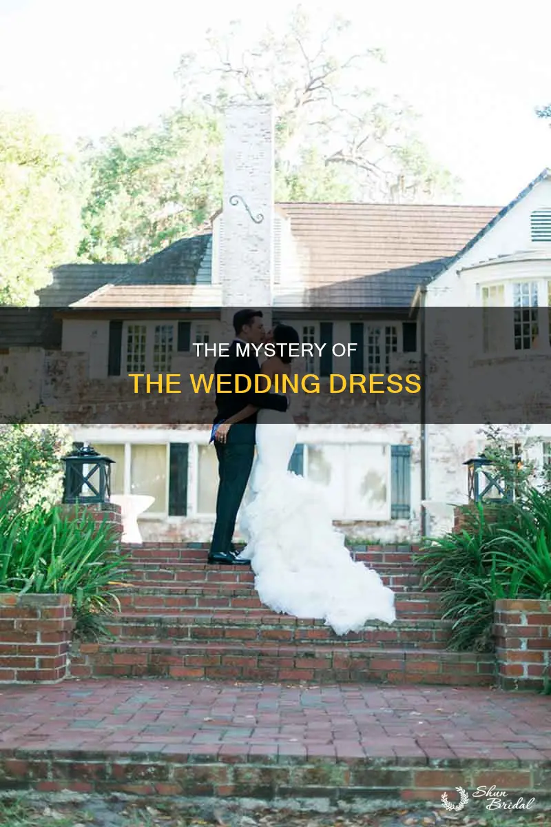 why did a have a wedding dress pll