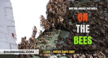 August's Veil Mystery: Unveiling the Bees' Secret Protection
