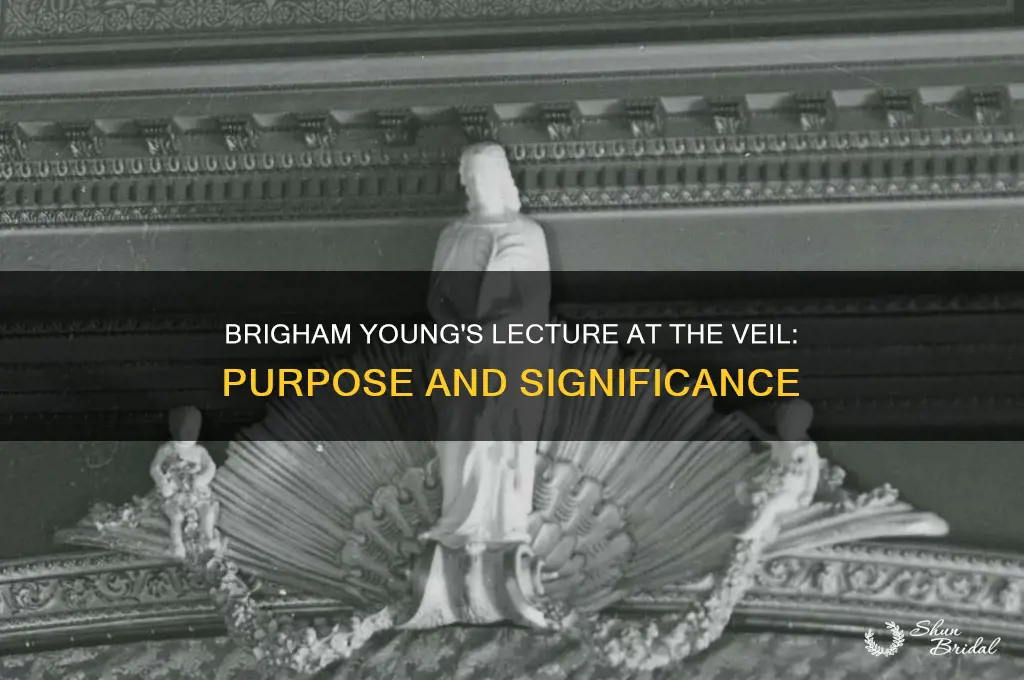 why did brigham young institute the lecture at the veil